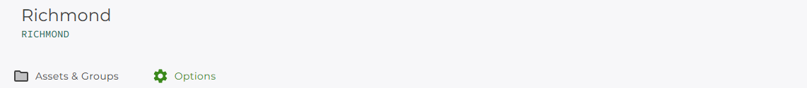 Asset group options tab Asset group options tab